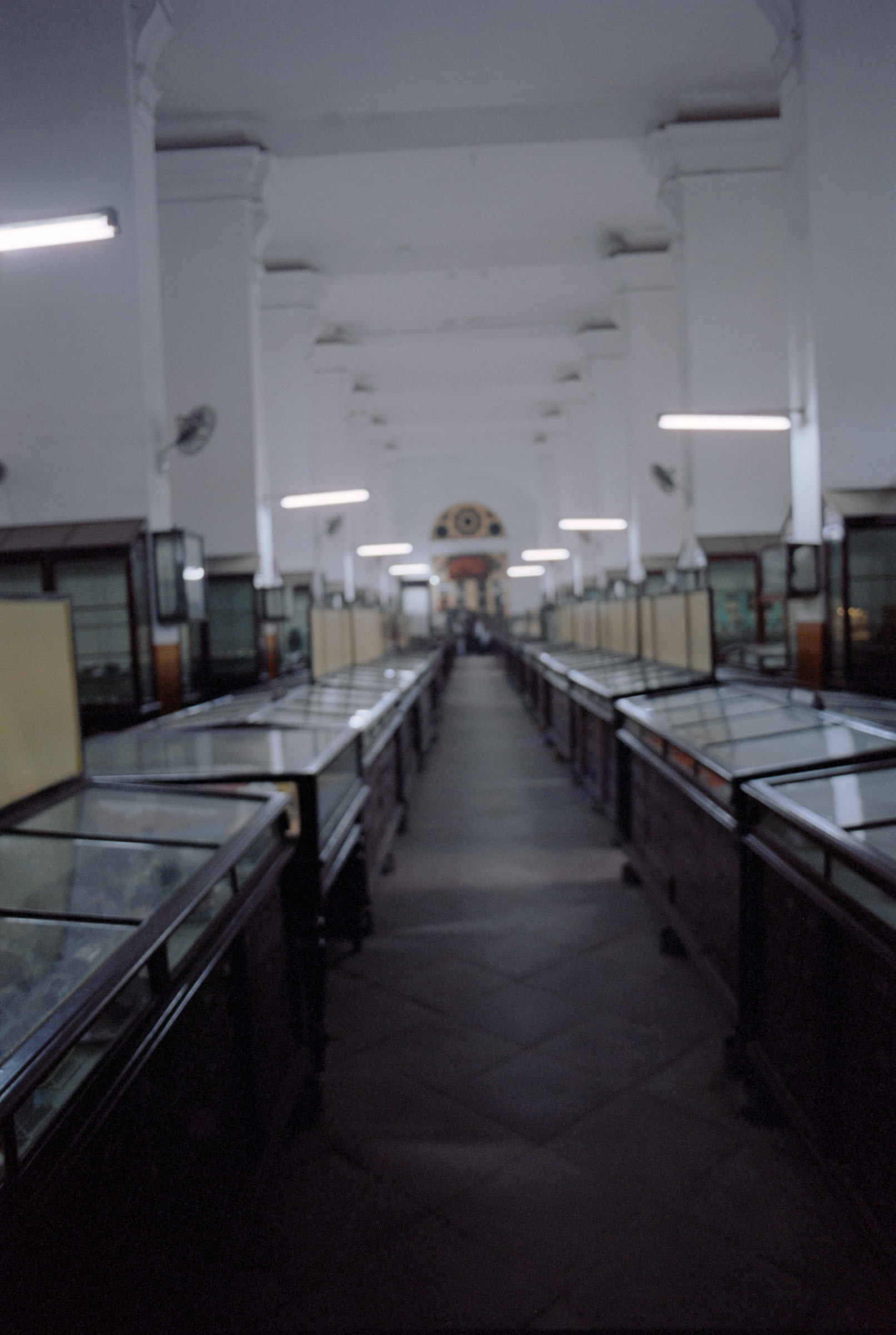 AHP film 2005 01 002 sc240825 img28 NLP